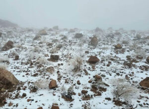 সৌদির তাবুক ও ট্রোজেনা উচ্চভূমিতে ব্যাপক তুষারপাত