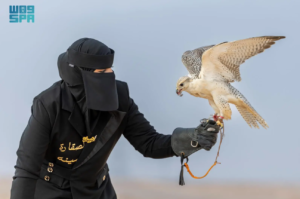 সৌদির আমিনা আল-আনজি প্রশিক্ষণ দেন বাজপাখির